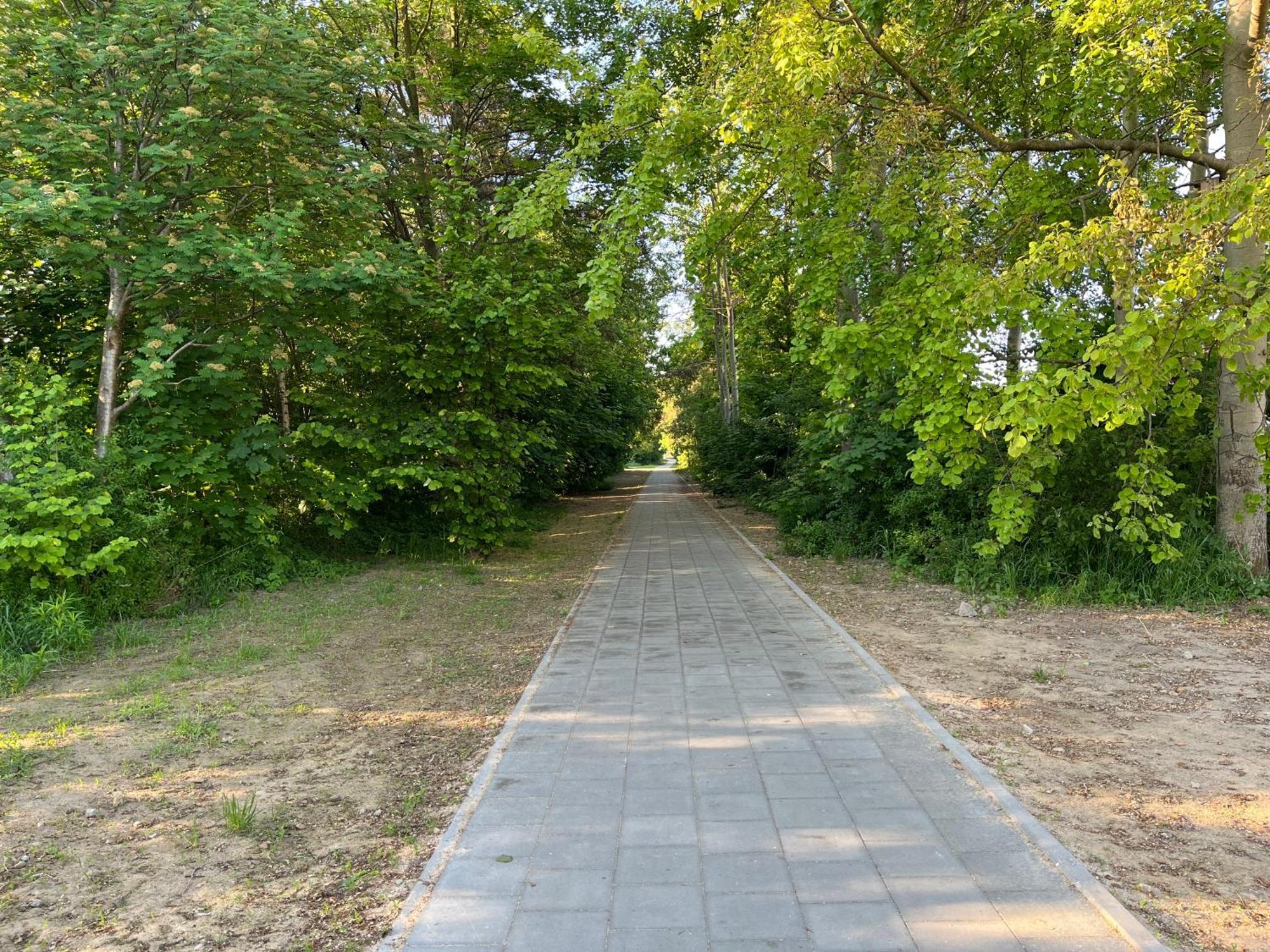 Apartament Osowa Daire Gdansk Dış mekan fotoğraf